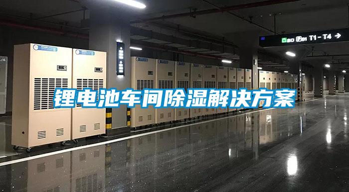 鋰電池車(chē)間除濕解決方案