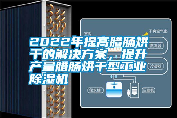 2022年提高臘腸烘干的解決方案，提升產量臘腸烘干型工業(yè)除濕機