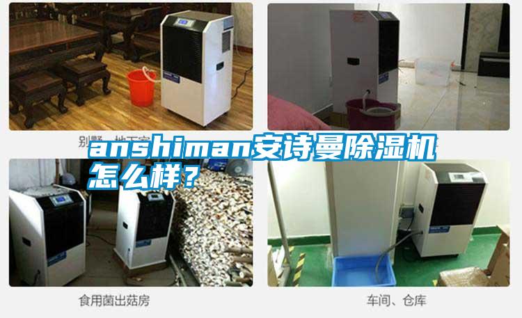 anshiman安詩曼除濕機怎么樣？