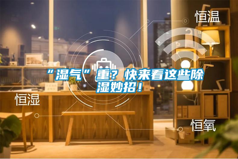 “濕氣”重？快來看這些除濕妙招！