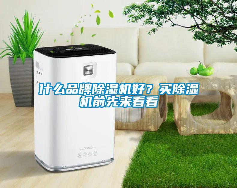 什么品牌除濕機(jī)好？買除濕機(jī)前先來看看