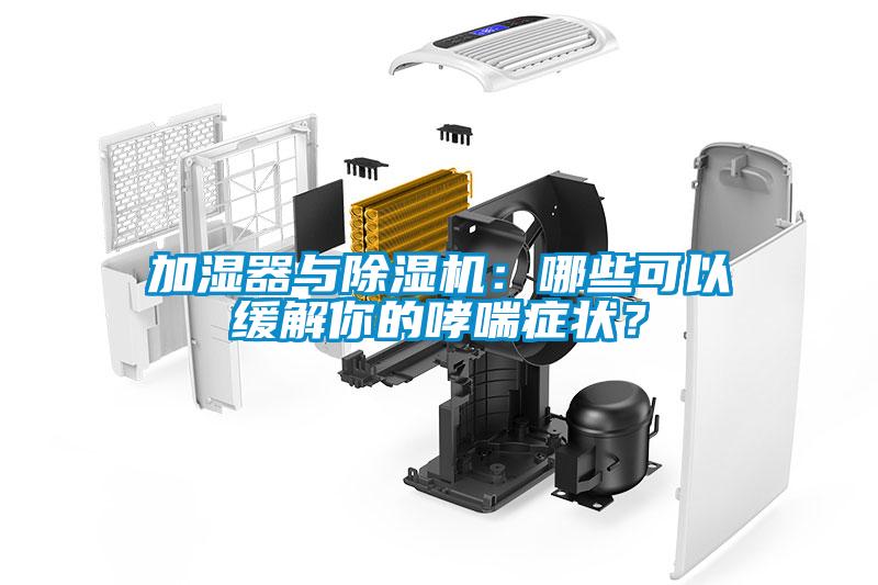 加濕器與除濕機(jī)：哪些可以緩解你的哮喘癥狀？