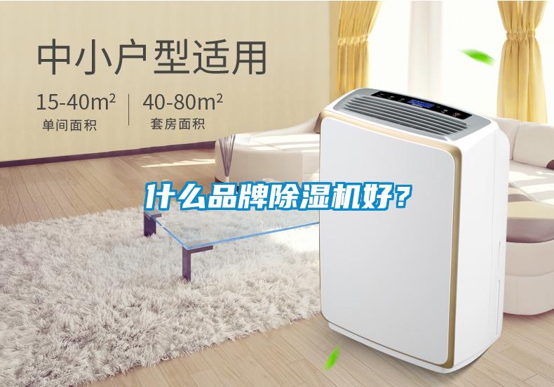 什么品牌除濕機(jī)好？