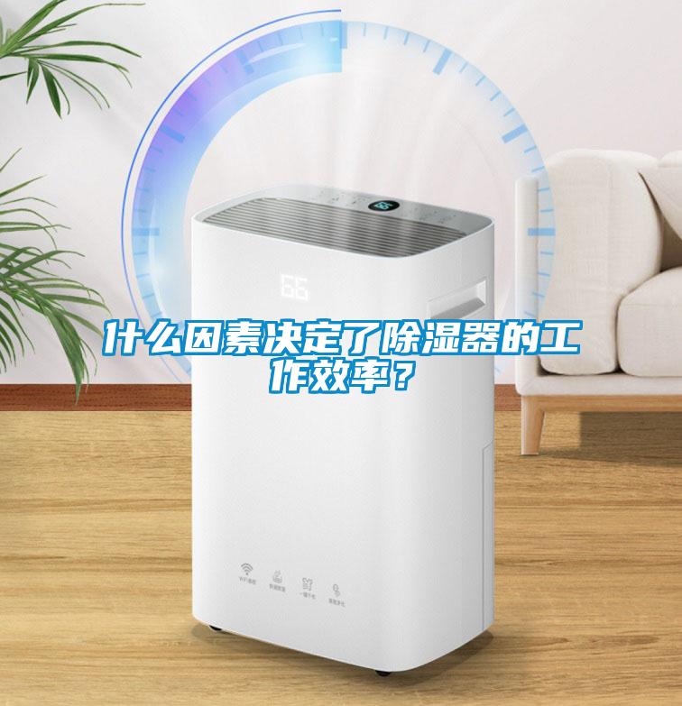 什么因素決定了除濕器的工作效率？