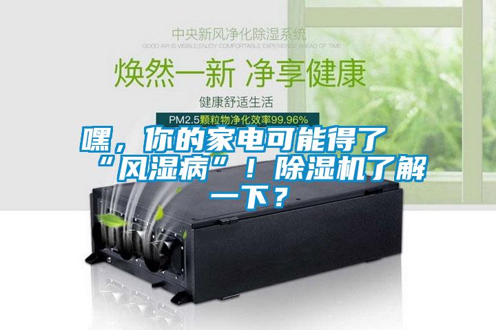 嘿，你的家電可能得了“風濕病”！除濕機了解一下？