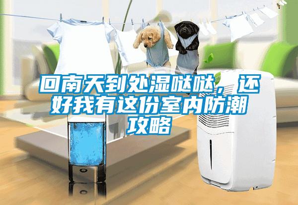 回南天到處濕噠噠，還好我有這份室內(nèi)防潮攻略