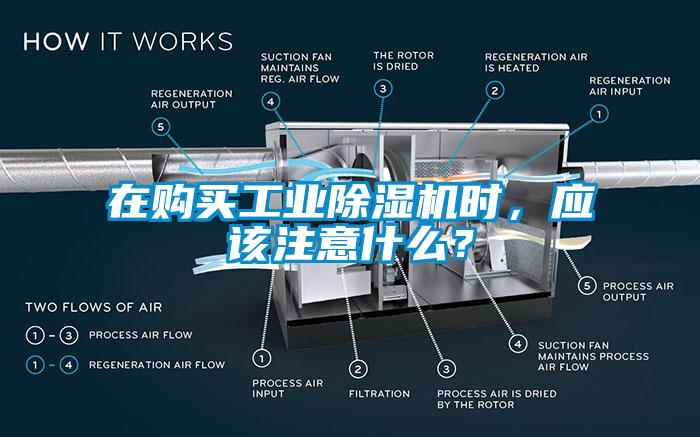 在購(gòu)買工業(yè)除濕機(jī)時(shí)，應(yīng)該注意什么？