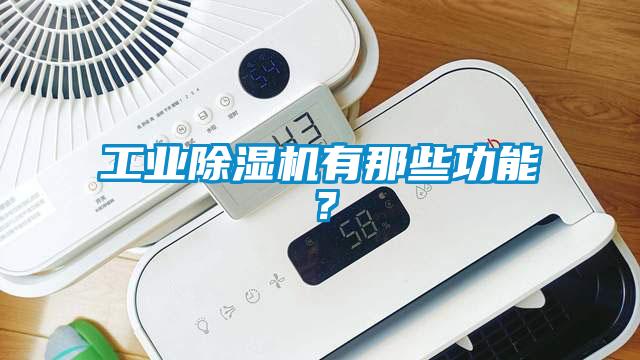 工業(yè)除濕機有那些功能？