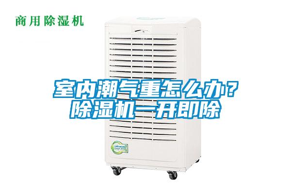 室內(nèi)潮氣重怎么辦？除濕機(jī)一開即除