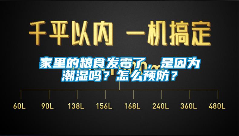 家里的糧食發(fā)霉了，是因為潮濕嗎？怎么預防？