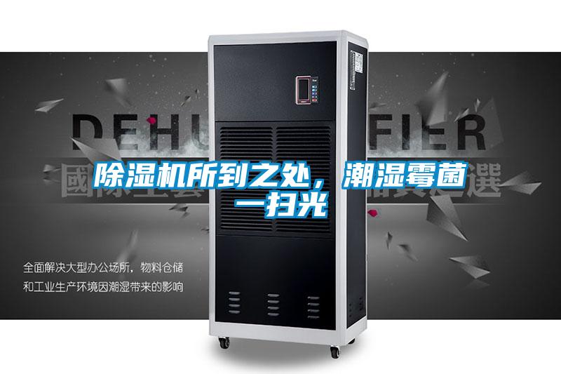 除濕機所到之處，潮濕霉菌一掃光