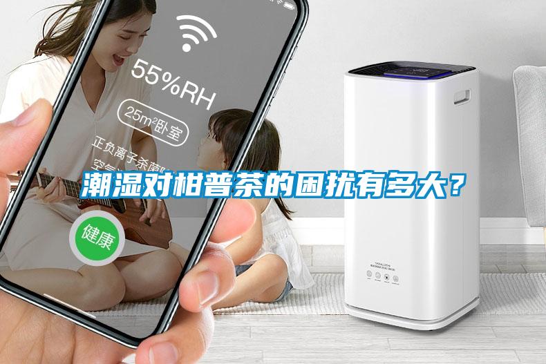 潮濕對柑普茶的困擾有多大？