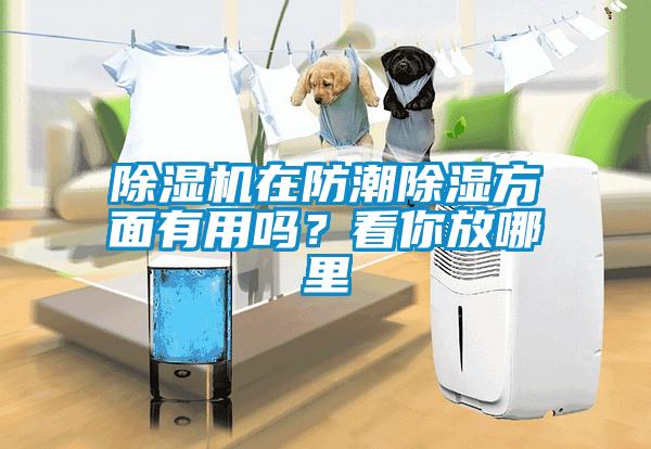 除濕機(jī)在防潮除濕方面有用嗎？看你放哪里