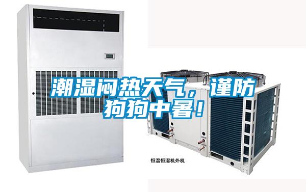 潮濕悶熱天氣，謹防狗狗中暑！