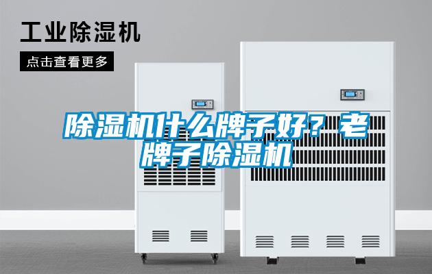除濕機什么牌子好？老牌子除濕機