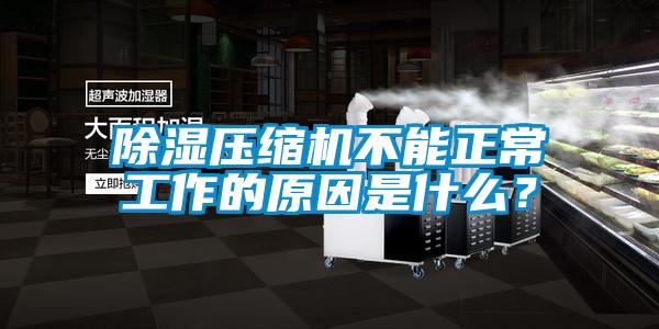 除濕壓縮機(jī)不能正常工作的原因是什么？