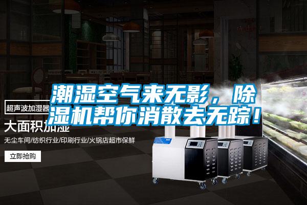 潮濕空氣來無影，除濕機幫你消散去無蹤！