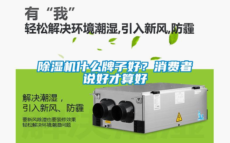 除濕機什么牌子好？消費者說好才算好