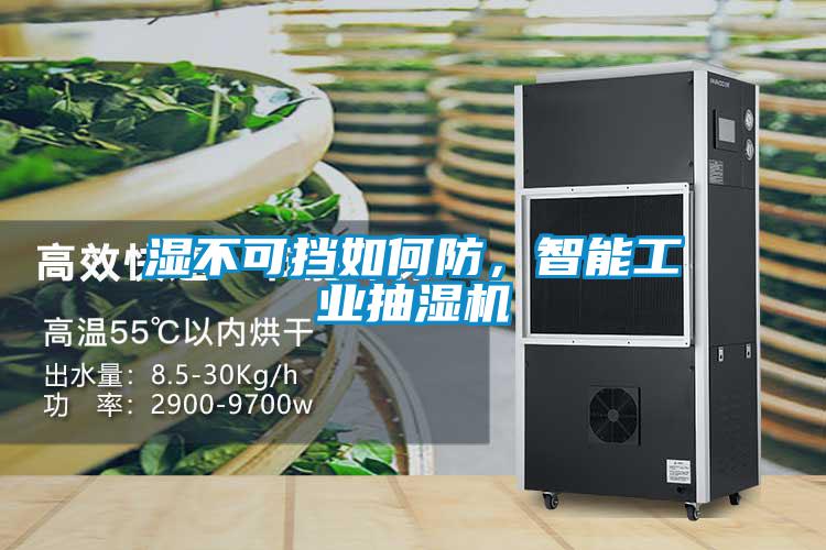 濕不可擋如何防，智能工業(yè)抽濕機