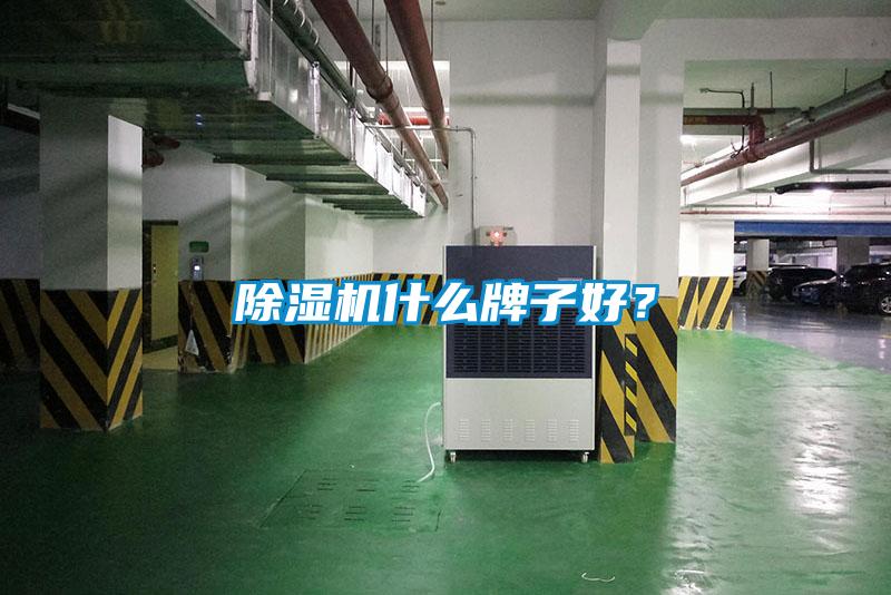 除濕機什么牌子好？
