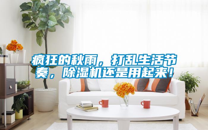 瘋狂的秋雨，打亂生活節(jié)奏，除濕機(jī)還是用起來！