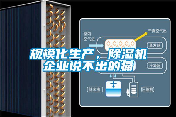 規(guī)模化生產(chǎn)，除濕機(jī)企業(yè)說(shuō)不出的痛