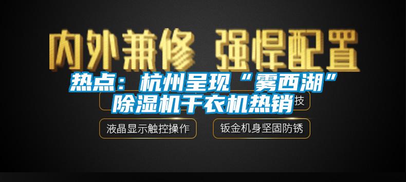 熱點(diǎn)：杭州呈現(xiàn)“霧西湖”除濕機(jī)干衣機(jī)熱銷