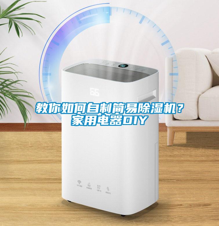 教你如何自制簡(jiǎn)易除濕機(jī)？家用電器DIY