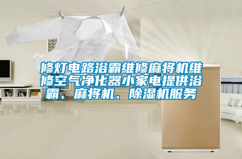 修燈電路浴霸維修麻將機維修空氣凈化器小家電提供浴霸、麻將機、除濕機服務(wù)