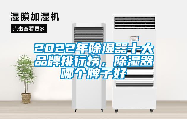 2022年除濕器十大品牌排行榜，除濕器哪個(gè)牌子好