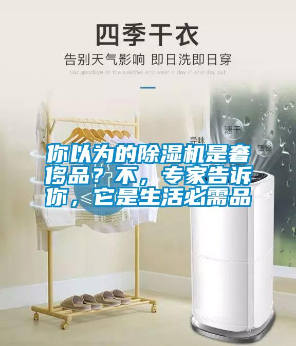 你以為的除濕機(jī)是奢侈品？不，專家告訴你，它是生活必需品