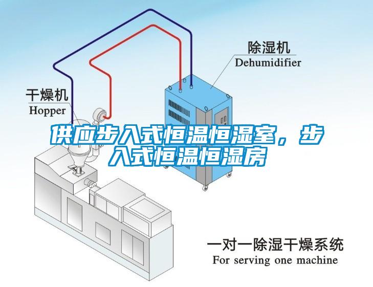 供應(yīng)步入式恒溫恒濕室，步入式恒溫恒濕房