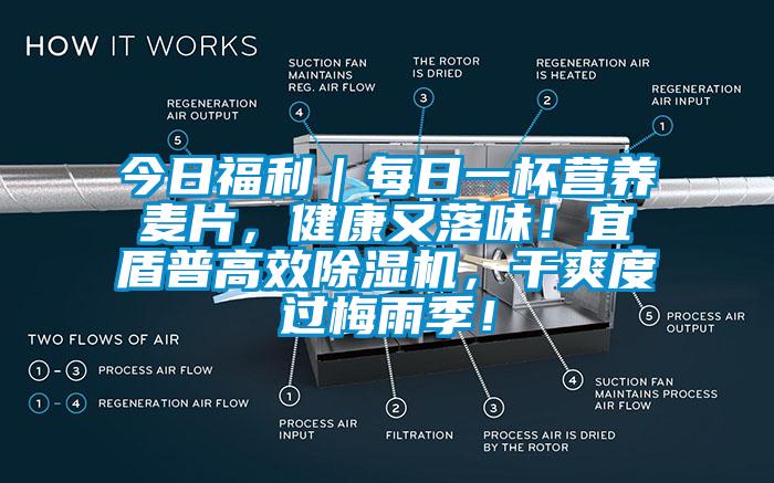 今日福利｜每日一杯營養(yǎng)麥片，健康又落味！宜盾普高效除濕機(jī)，干爽度過梅雨季！