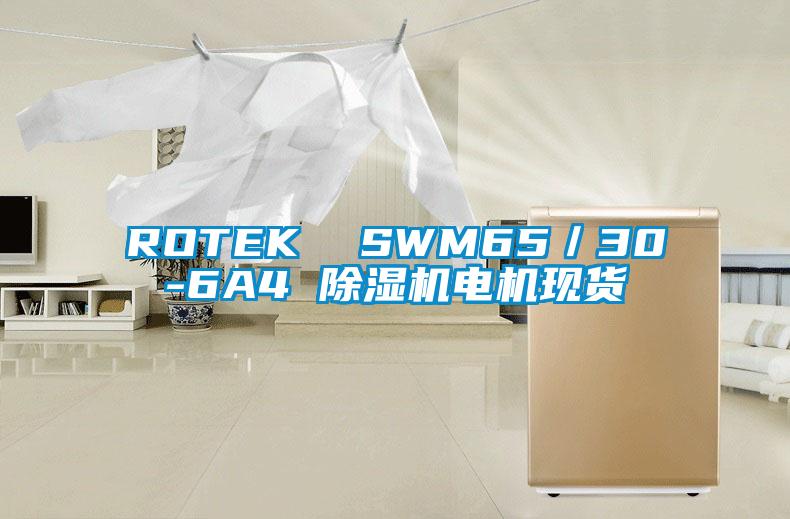 ROTEK  SWM65／30-6A4 除濕機電機現(xiàn)貨