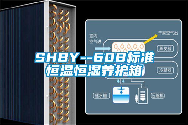 SHBY--60B標準恒溫恒濕養(yǎng)護箱