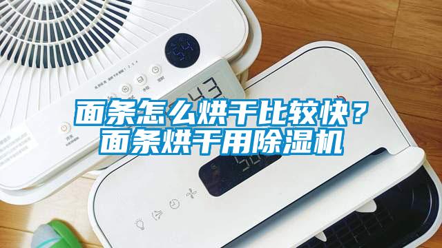 面條怎么烘干比較快？面條烘干用除濕機(jī)