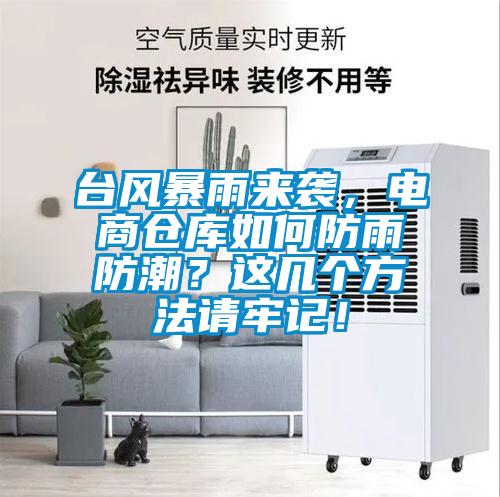 臺風暴雨來襲，電商倉庫如何防雨防潮？這幾個方法請牢記！
