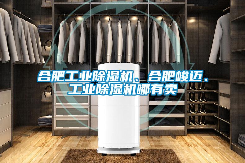 合肥工業(yè)除濕機、合肥峻邁、工業(yè)除濕機哪有賣