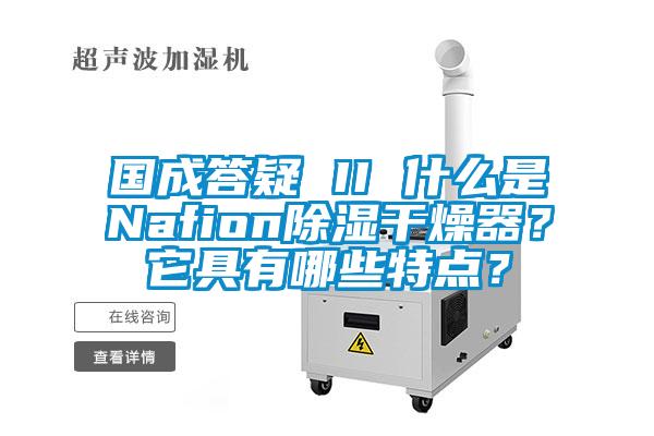 國成答疑 II 什么是Nafion除濕干燥器？它具有哪些特點？