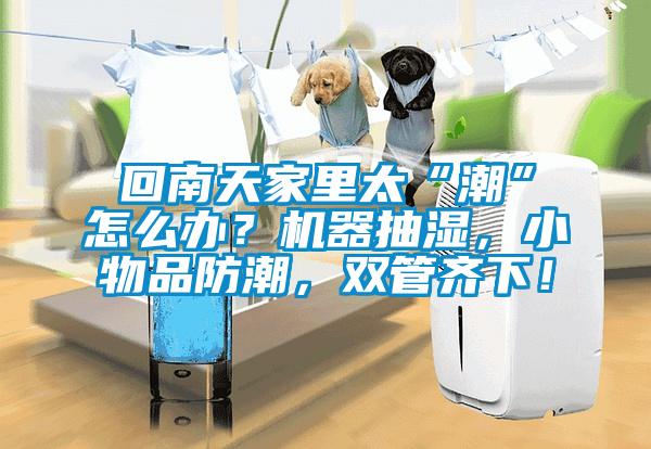 回南天家里太“潮”怎么辦？機(jī)器抽濕，小物品防潮，雙管齊下！