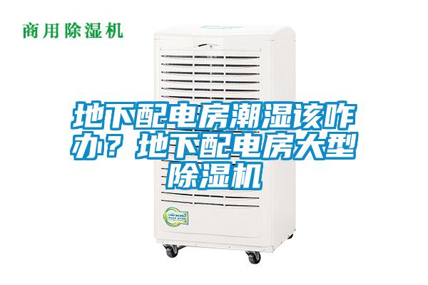 地下配電房潮濕該咋辦？地下配電房大型除濕機