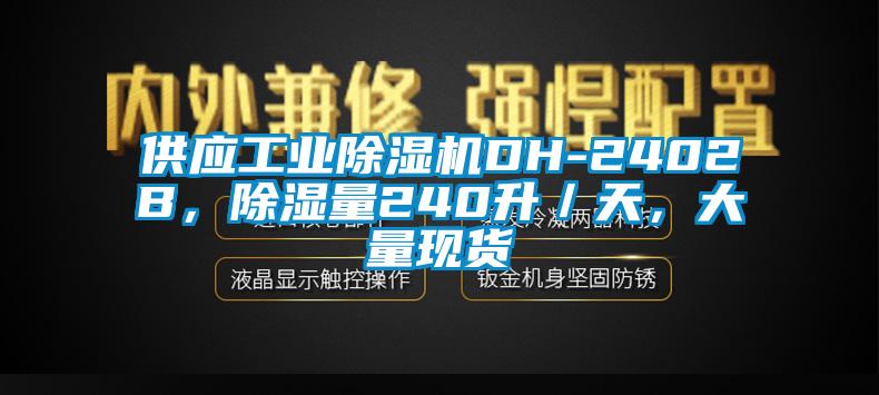 供應(yīng)工業(yè)除濕機(jī)DH-2402B，除濕量240升／天，大量現(xiàn)貨