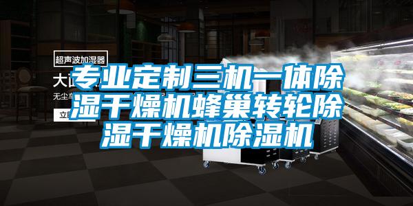 專業(yè)定制三機一體除濕干燥機蜂巢轉(zhuǎn)輪除濕干燥機除濕機