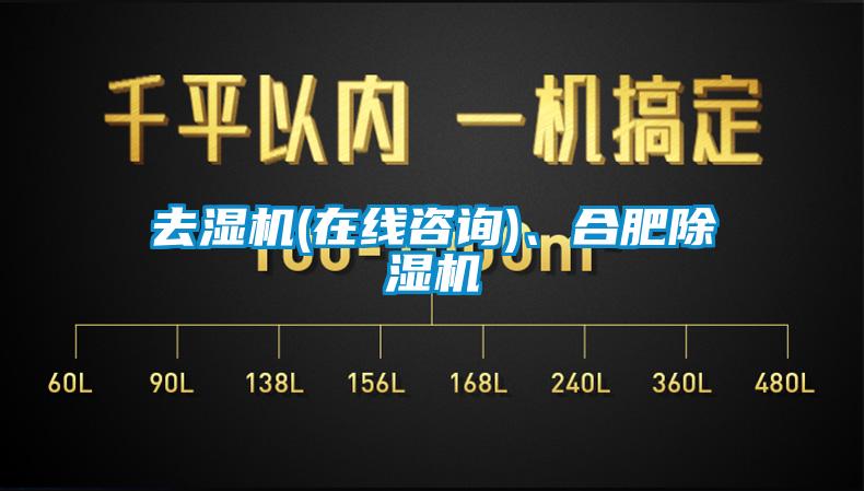 去濕機(jī)(在線咨詢)、合肥除濕機(jī)