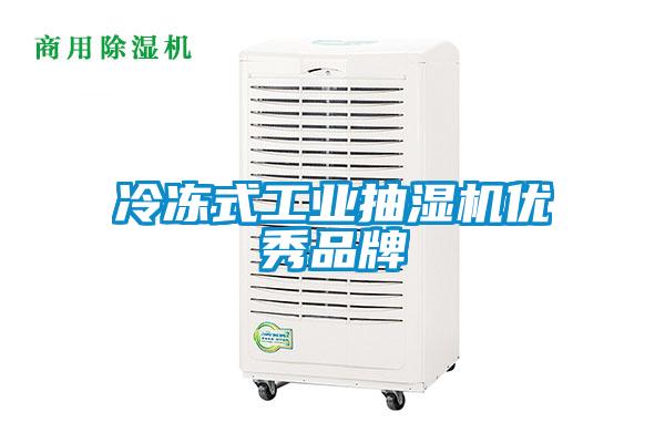 冷凍式工業(yè)抽濕機優(yōu)秀品牌