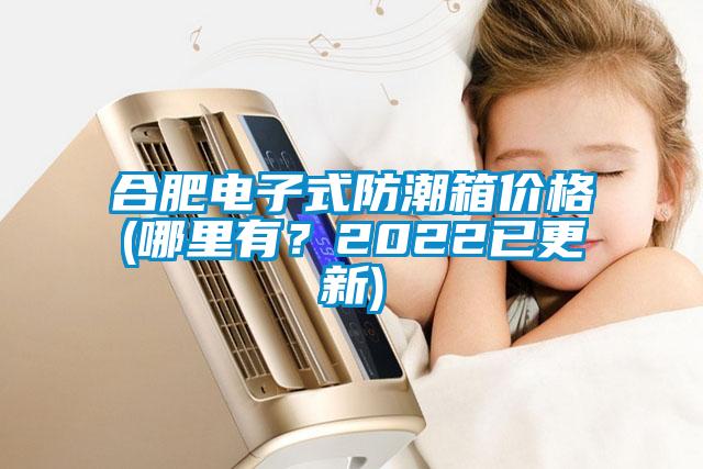 合肥電子式防潮箱價格(哪里有？2022已更新)