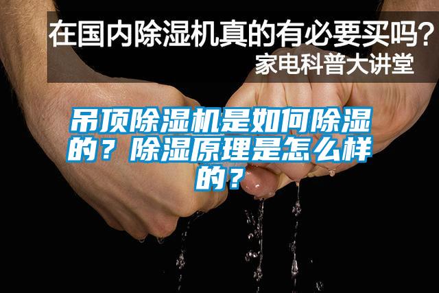 吊頂除濕機(jī)是如何除濕的？除濕原理是怎么樣的？