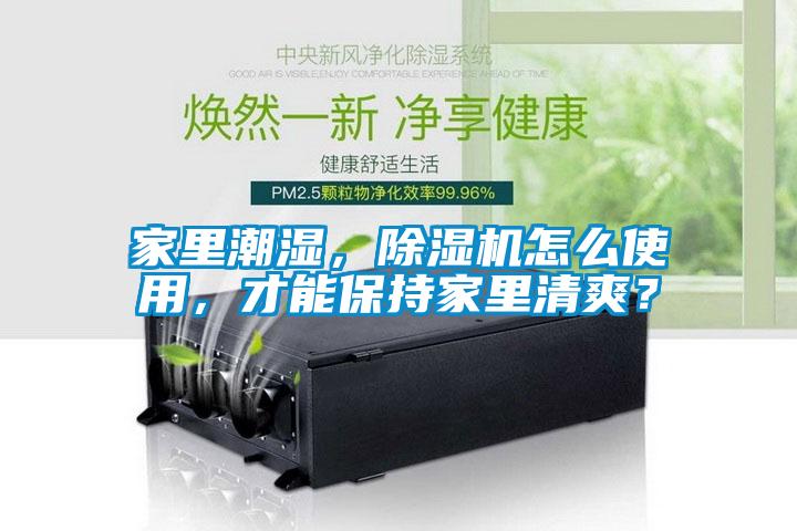 家里潮濕，除濕機(jī)怎么使用，才能保持家里清爽？