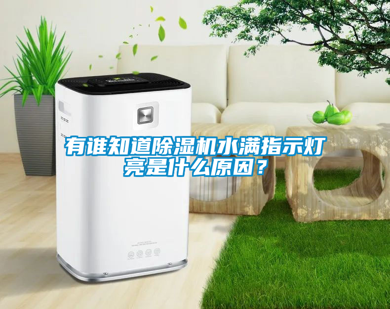 有誰知道除濕機水滿指示燈亮是什么原因？