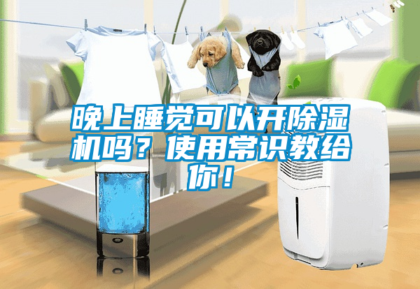 晚上睡覺可以開除濕機嗎？使用常識教給你！